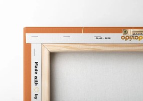 Quadro su tela – Gatto giocoso con gomitoli