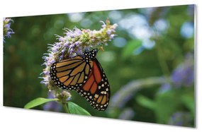 Quadro acrilico Fiore di farfalla colorato 100x50 cm