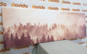 Stampa su tela – Nebbia sopra la foresta
