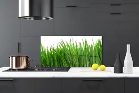 Pannello rivestimento parete cucina Erba, piante, natura 100x50 cm