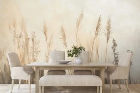Carta da parati – Piante secche in beige