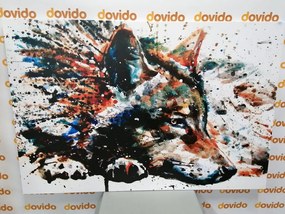 Stampa su tela – Lupo in acquerello
