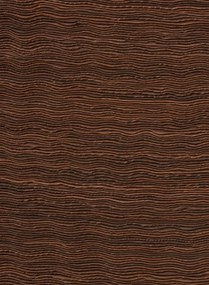 Arte Carta da parati Penumbra - Redwood