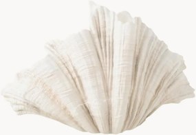Vaso Clam, alt. 31 cm