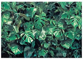 Fotomurale KOMAR Verdur, Multicolore 368X254 cm