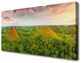 Quadro su tela Foresta della giungla della natura 100x50 cm