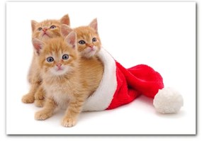 Quadro acrilico Gatti Babbo Natale 125x50 cm