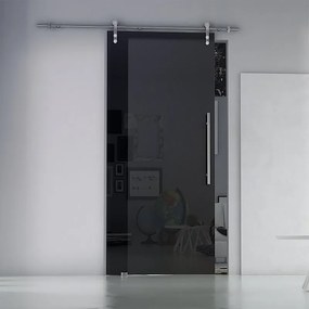 Porta scorrevole Fumè satin in acciaio nero, L 96 x H 215 cm, con binario Lux Sinistra