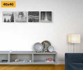 Set di quadri – Lupo nel bosco misterioso in bianco e nero