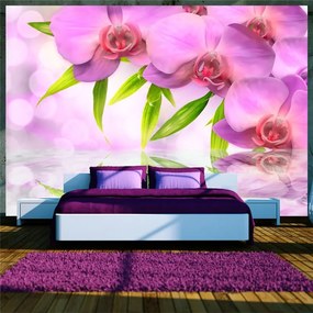 Fotomurale Orchidee color lillà