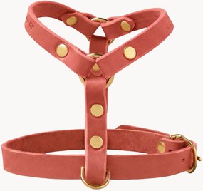 Imbracatura per cani in pelle Y-Harness, varie misure