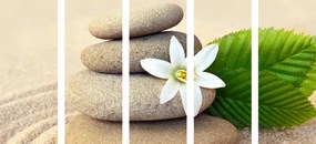 Quadri 5 pezzi – Fiore bianco e pietre nella sabbia