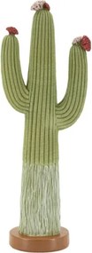 Cactus Cm 16,5X11X45