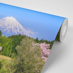 Carta da parati autoadesiva – Vulcano Fuji