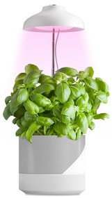 LED Lampada da interni per la coltivazione di piante LED/5W/5V 3200K