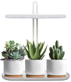 Lampada da tavolo LED dimmerabile per la coltivazione delle piante VERDI LED/12W/230V 4500K