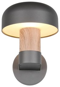 Illuminazione esterna da parete (altezza totale 24,5 cm) Fraser – Trio