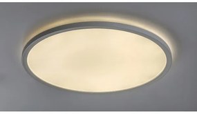 Rabalux 3428 - Plafoniera LED dimmerabile PAVEL LED/22W/230V
