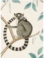 Tapete Ringtailed Lemur von Sanderson - Stone/ Eucalyptus