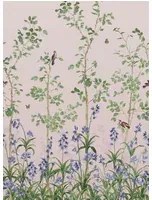 Little Greene Carta da parati Bird and Bluebell - China Clay