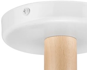 Plafoniera ELLIE 3xE27/60W/230V bianco