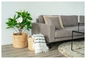 Set di cesti in giacinto d'acqua 2 pz ø 35x37 cm Passo – House Nordic