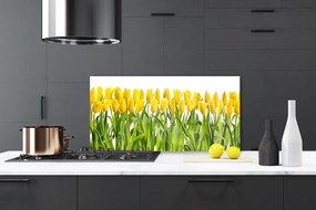 Rivestimento parete cucina Tulipani, fiori, natura 100x50 cm