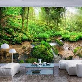 Fotomurale adesivo  Humid Forest  Larghezza x Altezza Home decor 147x105