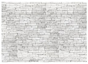 Fotomurale  White Brick  Colore Bianco, Dimensioni e Misure 350x245