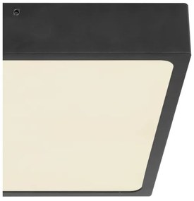 Globo 12369-22 - Plafoniera LED ECHO LED/22W/230V