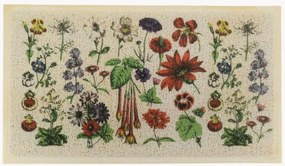 Zerbino lavabile Botanicals
