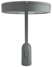 Lampione Stradale 65W, Dual Gray,1-10V, Programmabile,driver Philips Colore  Bianco Caldo 2.700K