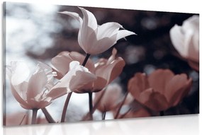 Stampa su tela – Tulipani primaverili nel parco