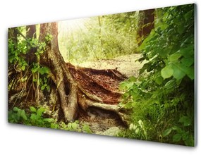 Pannello paraschizzi cucina Albero Stock Natura Foresta 100x50 cm