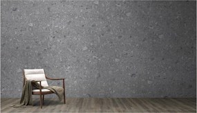 Piastrella da pavimento interno in gres naturale 120 x 280 cm rettificato grigio opaco Ceppo R10 traffico intenso (pei 4/5) Sp. 6 mm 3.36 mq