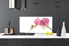 Pannello paraschizzi cucina I fiori della pianta 100x50 cm