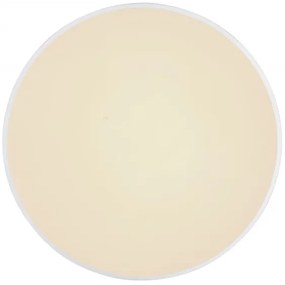 Globo 41586-24 - Plafoniera LED dimmerabile SONNY LED/24W/230V + +TC