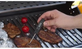 Termometro digitale per carne -50-150°C 1xLR44