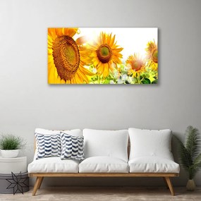 Quadro su tela Pianta di fiori di girasole 100x50 cm