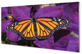 Quadro su vetro acrilico Fiori di farfalla colorati 100x50 cm