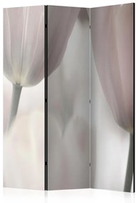 Paravento separè Arte Floreale dei Tulipani - tulipani in bianco e nero