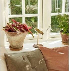 Halo Design 745784-LED Lampada ricaricabile dimmerabile ON THE MOVE LED/2,5W/4000 mAh ottone/legno