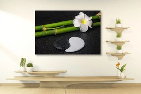 Quadro su tela – Natura morta Spa e pietre Jin e Jang