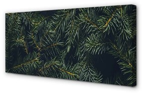 Foto quadro su tela Rami dell'albero di Natale 100x50 cm