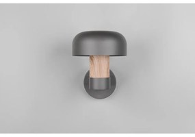 Illuminazione esterna da parete (altezza totale 24,5 cm) Fraser – Trio