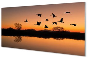 Rivestimento parete cucina Uccelli al tramonto che volano 100x50 cm