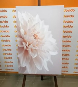 Stampa su tela – Petali bianchi