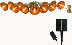 Ghirlanda solare a LED con luce regolabile Cottage