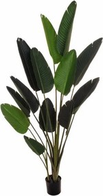 Pianta artificiale Strelizia in vaso di plastica H 180 cm ø 17 cm