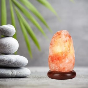 Lampada al sale SALLY 1xE14/25W/230V